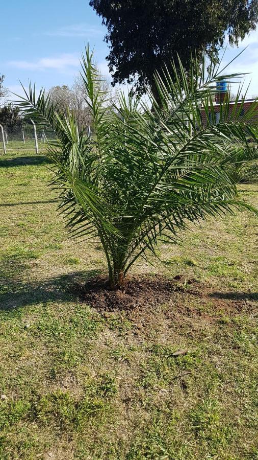Terrabox Apart De Contenedores Olivera Bagian luar foto