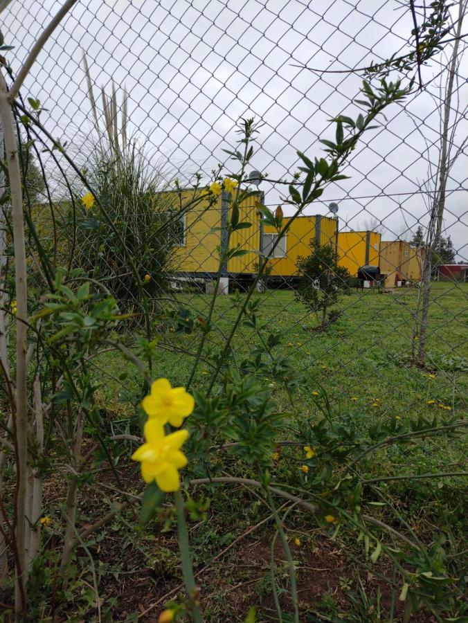 Terrabox Apart De Contenedores Olivera Bagian luar foto